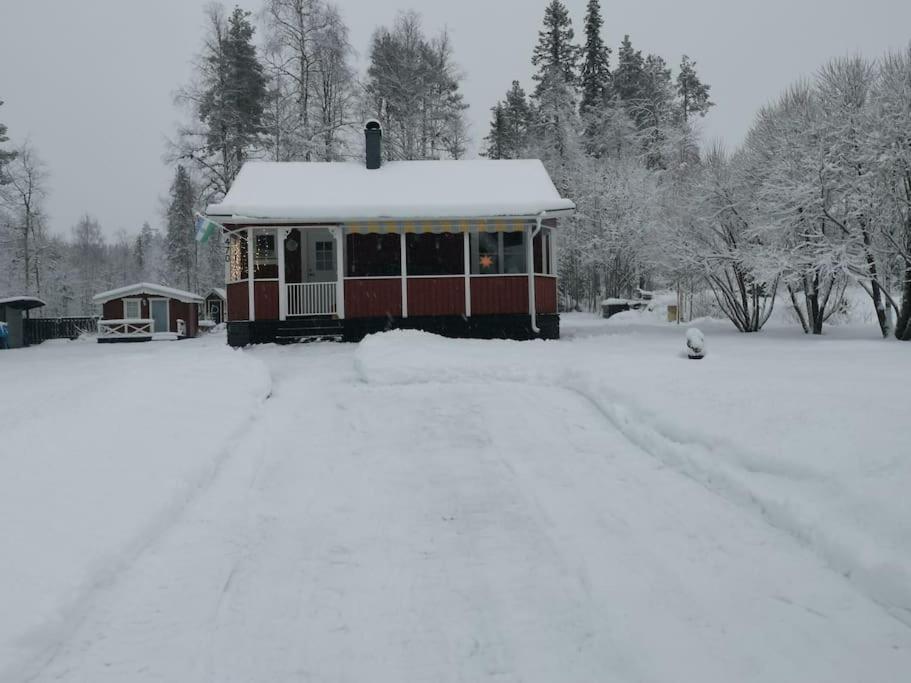 Cabin 70M From Lake. Big Garden Эстерсунд Экстерьер фото